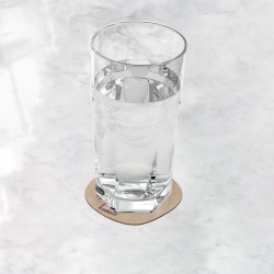 زیرلیوانی دختر و گربه کتابخون