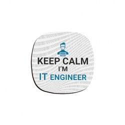 زیرلیوانی it engineer